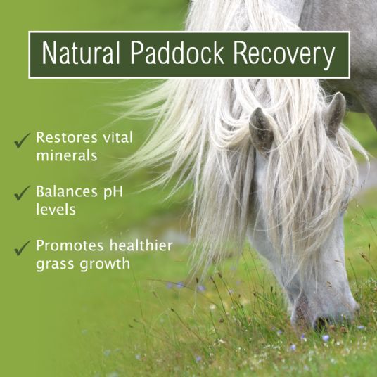 Simple Systems Natural Paddock Recovery